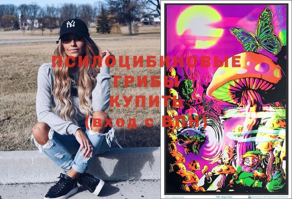 амф Алексеевка