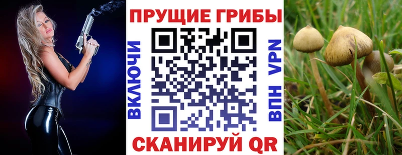 Галлюциногенные грибы Psilocybe  MEGA tor  Навашино 